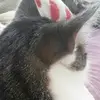 Elieinhorn02 - @elieinhorn02 - TikTok