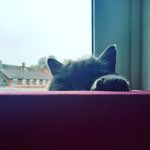 elina_einhorn - @elina_einhorn3 - Instagram