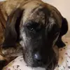 ellie183 - @ellieeinstein - TikTok