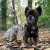 Ivy und ich - @einstein_ellise - TikTok
