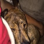 Eli Daniel Eldridge - @eli.eldridge.68 - Instagram