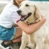 Eli Ellis - @eliellis.ca - TikTok