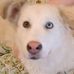 Eli Ellison - Facebook