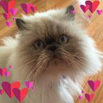 Eli Enriquez - @eli.enriquez.84 - Instagram