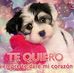Eli Escamilla - Facebook