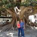Elisol Victoria Facenda Ramos - Facebook