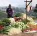 Nuwara Eliya Farmers Organization  - Facebook