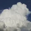 Eli Fehrman - @elifehrman - TikTok