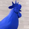 Eli - @eli.feldman - TikTok