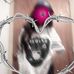Eli Ferrer - Facebook