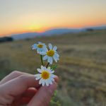 ☘️€Lìf 07☘️ - @elifin__kadraji - Instagram