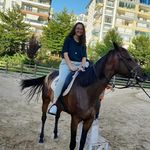 Elif ✿ - @_elifin_kitaplari - Instagram