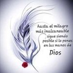 Eli Flecha - @eli.flecha.52 - Instagram