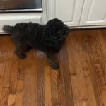 Eli fleming - @eli_flem - Instagram