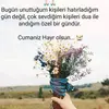 Elif ordu - @elif42ordu - TikTok