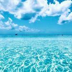 ELI FOX - @travel.yum - Instagram