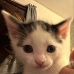 Eli Freeze - Facebook