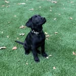 Eli Fuller - @elifuller65 - Instagram