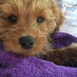 Eli Fuller - @_elifuller_ - Instagram
