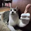 Eli fuller - @eli.fuller3 - TikTok