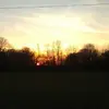 thanks - @elifuller62 - TikTok