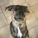 Eli Fussell - Facebook