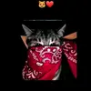 eli gamez - @qwertyyui009 - TikTok