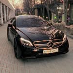 @_mersadec_eligans_ - Instagram