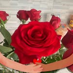 Grdn Elzbth - @eligarduno12 - Instagram
