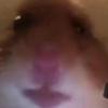 Eli Garrison855 - @eligarrison1 - TikTok