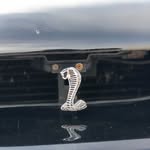 Eli Garrison - @eli.garrison05 - Instagram