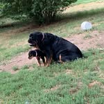Eli Garrison - @austineligarrison - Instagram