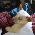 Eli Garrison - @eli.garrison.71 - Instagram