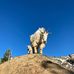 Eli Gee - Facebook