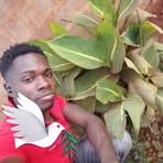 Elìsïo Ghast - Facebook