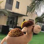 אלי גרשון הגבר - @eligershon69 - Instagram