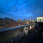 Eli Gershon - @eli_gershon - Instagram