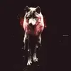 Eli gibson - @eligibson43 - TikTok