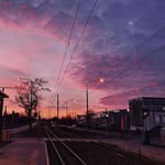 ❤︎𝓮𝓵𝓲❤︎ - @eli._.gilliam - Instagram