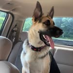 Eli Gilliam - @eli_gilliam - Instagram