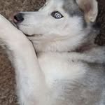 Elishah Gilmer - @eligilmer052309 - Instagram