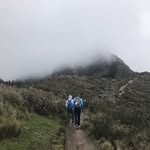 Eli - @eligingerich - Instagram