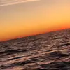 Eli Gingerich - @eligingerich5 - TikTok