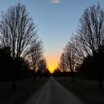 Elias Gingerich - @elias_picture_garage - Instagram