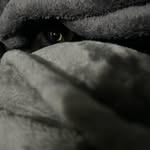 Eli - @eli_glasses - Instagram