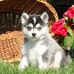 Eli Glick - Facebook