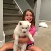 elisegoddard - @elisegoddard0 - TikTok