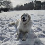 Leo Eli Goddard - @everydayis_l.e.g._day - Instagram