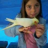  eliya goldner - @ggjfjjddj - TikTok
