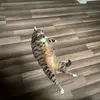 Eli Good - @eli.good7 - TikTok